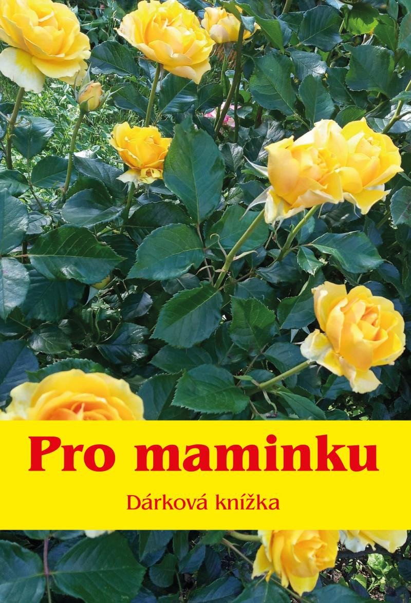 PRO MAMINKU - DÁRKOVÁ KNÍŽKA