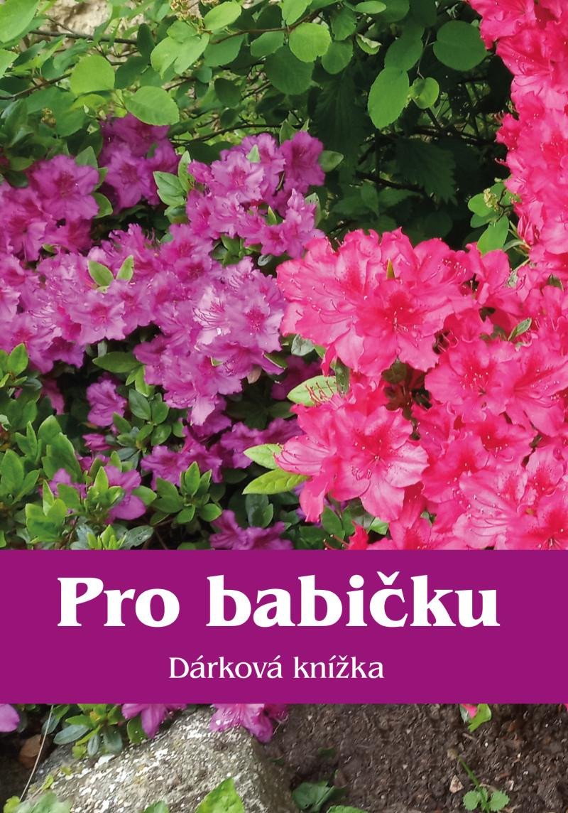 PRO BABIČKU DÁRKOVÁ KNÍŽKA