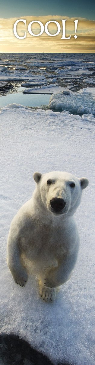 Obálka knihy ZÁLOŽKA 3D - COOL! od autora <br>