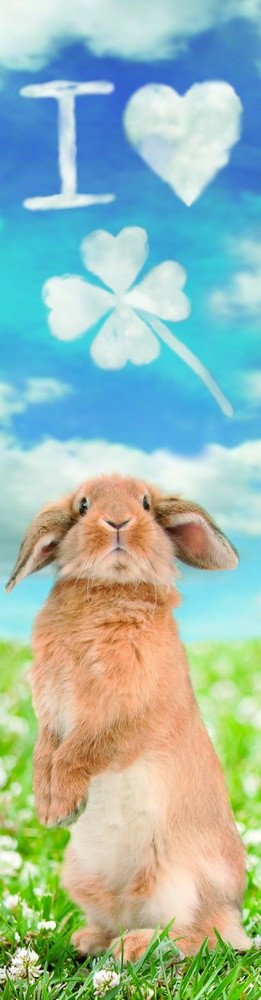 Obálka knihy ZÁLOŽKA 3D - MILUJU JETEL od autora <br>