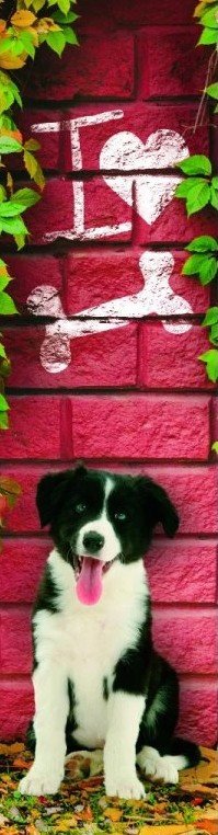 Obálka knihy ZÁLOŽKA 3D - MILUJU KOSTI od autora <br>