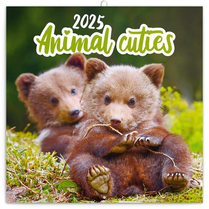 NÁSTĚNNÝ KALENDÁŘ 2025 POZNÁMKOVÝ ANIMAL CUTIES MLÁĎATA