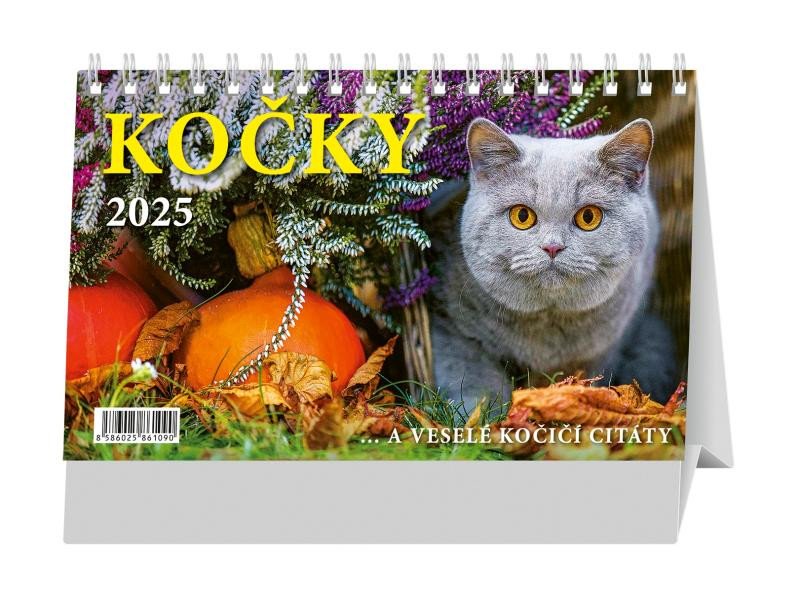 KS KOČKY 2025