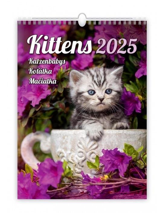 NÁSTĚNNÝ KALENDÁŘ 2025 KITTENS