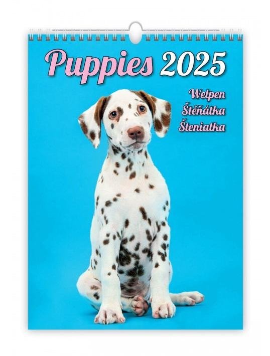 NÁSTĚNNÝ KALENDÁŘ 2025 PUPPIES