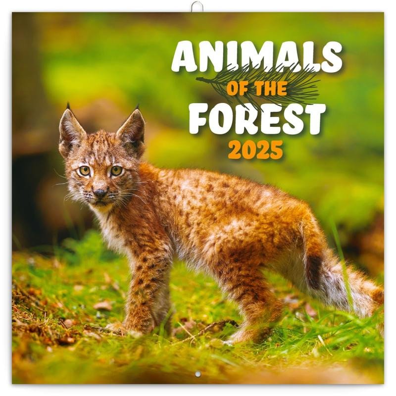 NÁSTĚNNÝ KALENDÁŘ 2025 POZNÁMKOVÝ ANIMALS OF THE FOREST ZVÍŘ