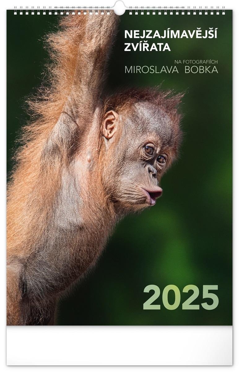 2025 NEJZAJÍMAVĚJŠÍ ZVÍŘATA NÁSTĚNNÝ