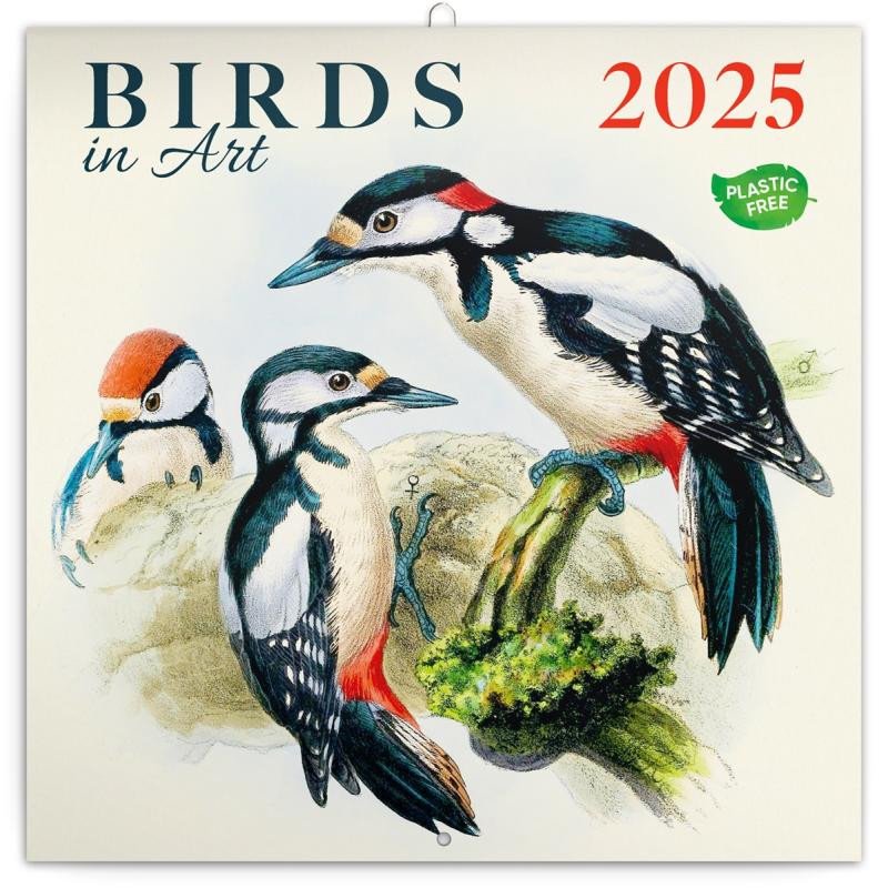 BIRDS IN ART 2025 POZNÁMKOVÝ KALENDÁŘ 30X30