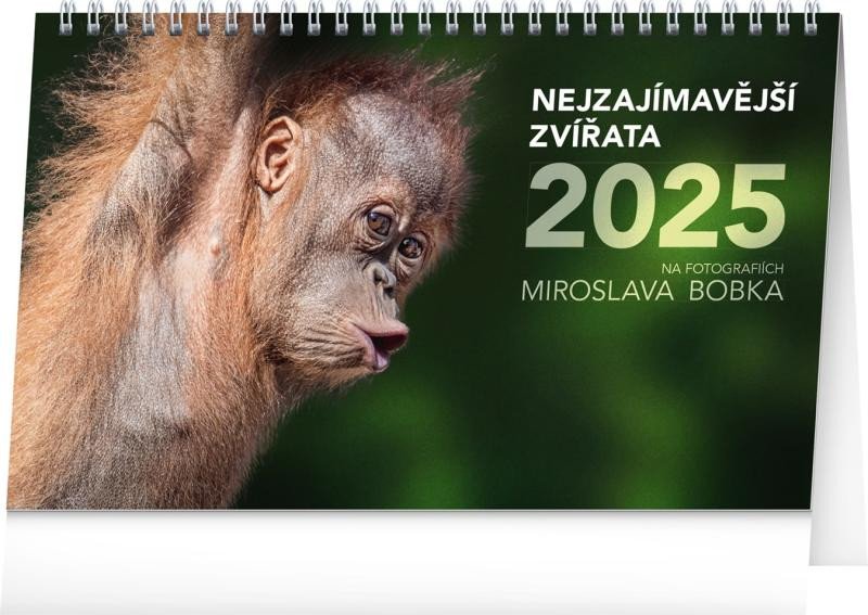 2025 NEJZAJÍMAVĚJŠÍ ZVÍŘATA STOLNÍ