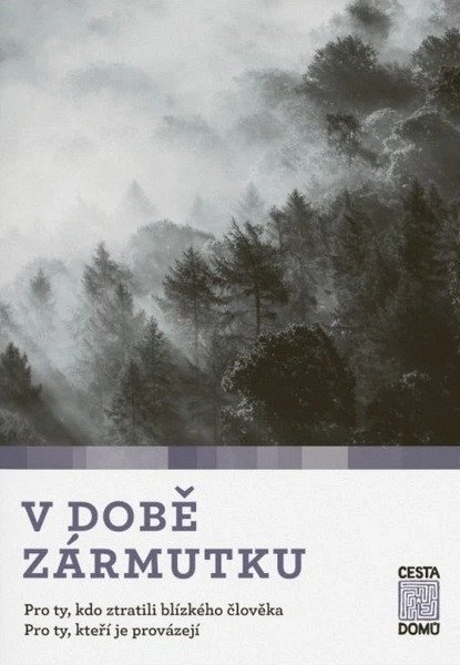 Obálka knihy V DOBĚ ZÁRMUTKU od autora Tausch-Flammer Daniela