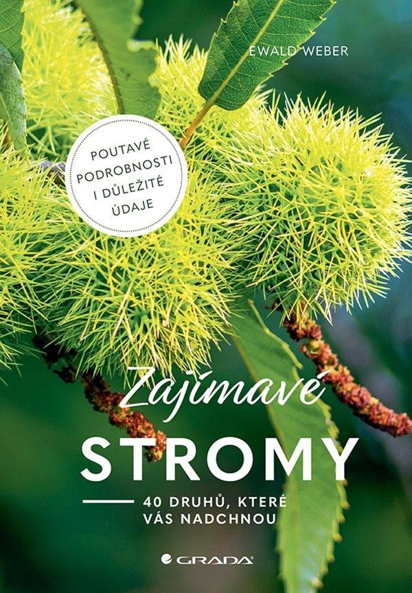 ZAJÍMAVÉ STROMY - 40 DRUHŮ, KTERÉ VÁS NADCHNOU