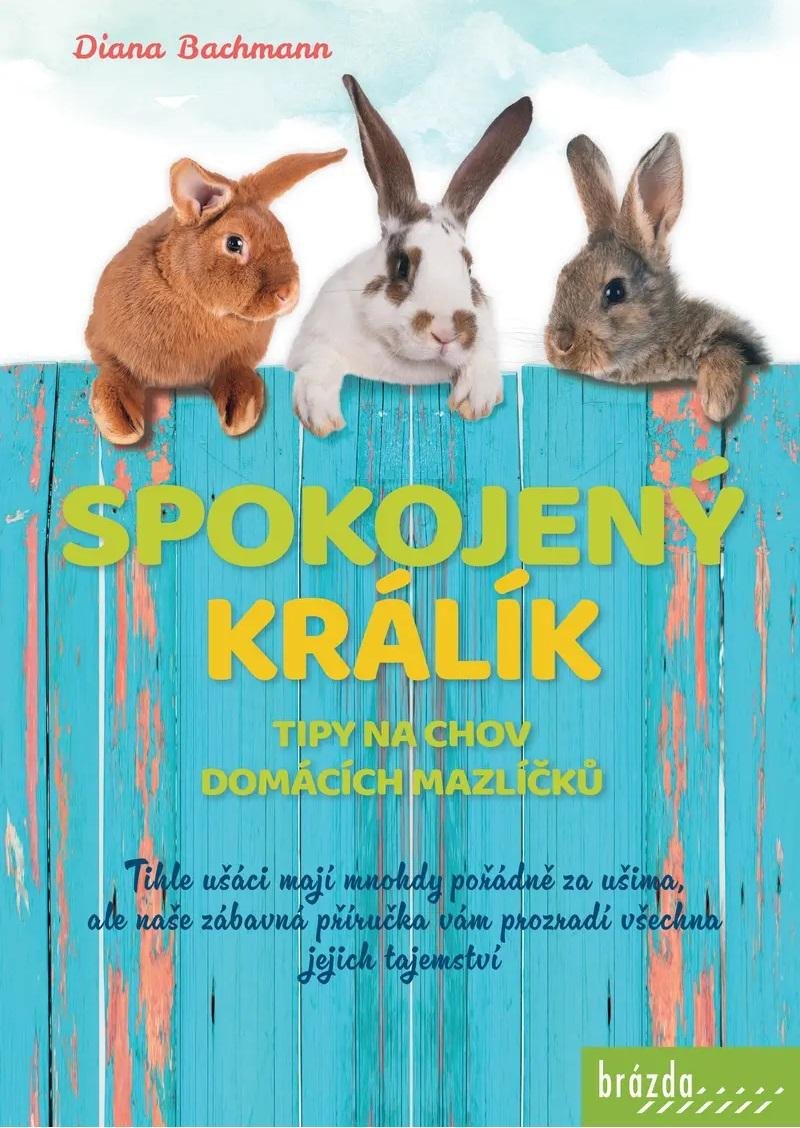 SPOKOJENÝ KRÁLÍK- TIPY NA CHOV DOMÁCÍCH