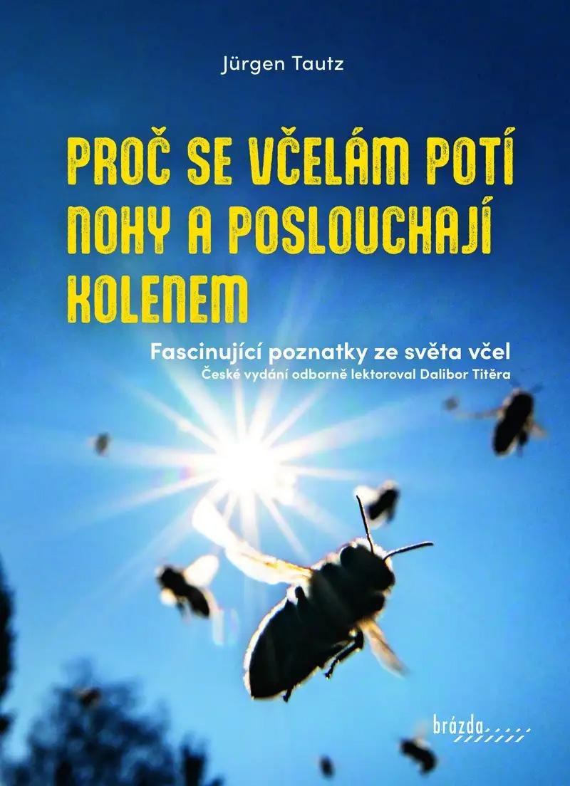 PROČ SE VČELÁM POTÍ NOHY A POSLOUCHAJÍ K