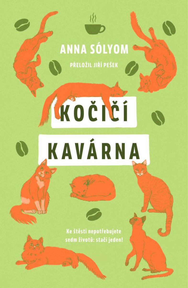 KOČIČÍ KAVÁRNA