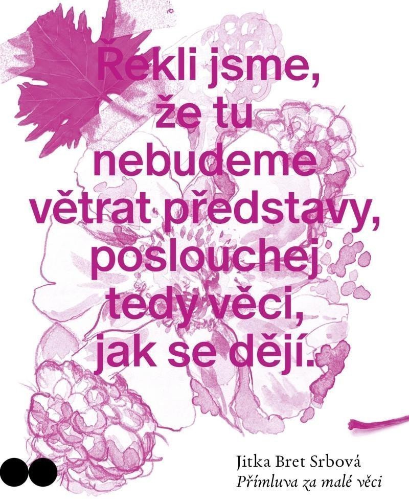 PŘÍMLUVA ZA MALÉ VĚCI