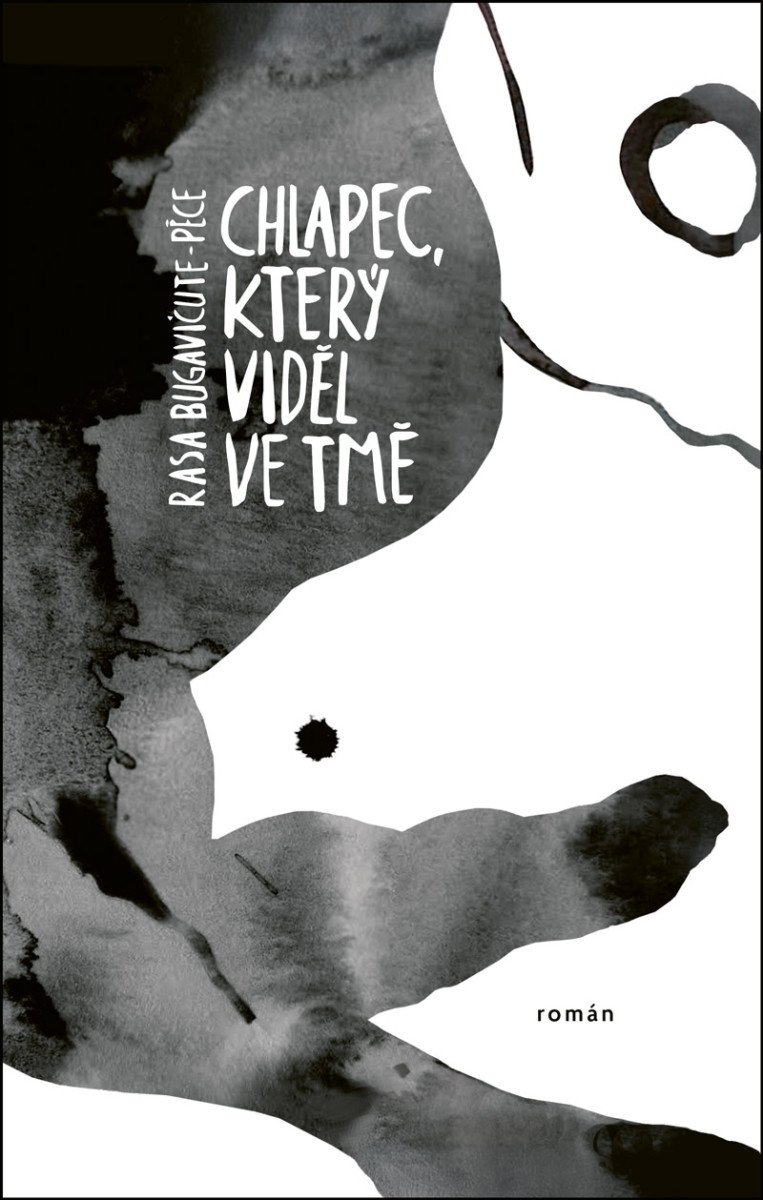 Obálka knihy CHLAPEC, KTERÝ VIDĚL VE TMĚ od autora Bugavičute-Péce Rasa