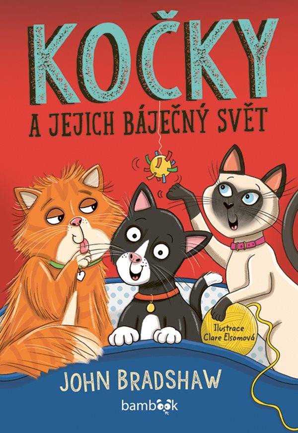 KOČKY A JEJICH BÁJEČNÝ SVĚT