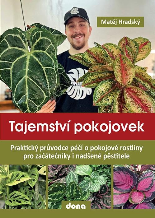TAJEMSTVÍ POKOJOVEK
