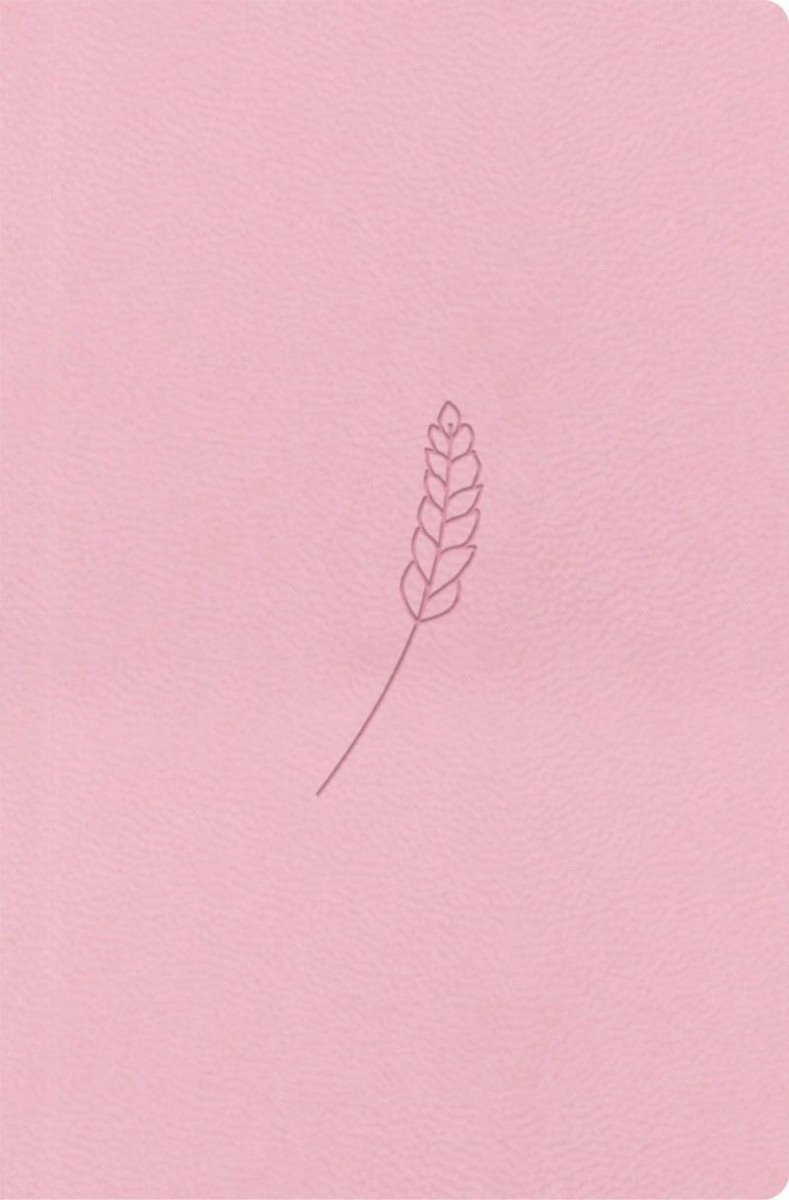 BIBLE. PŘEKLAD 21. STOLETÍ [KŮŽE ROSÉ]