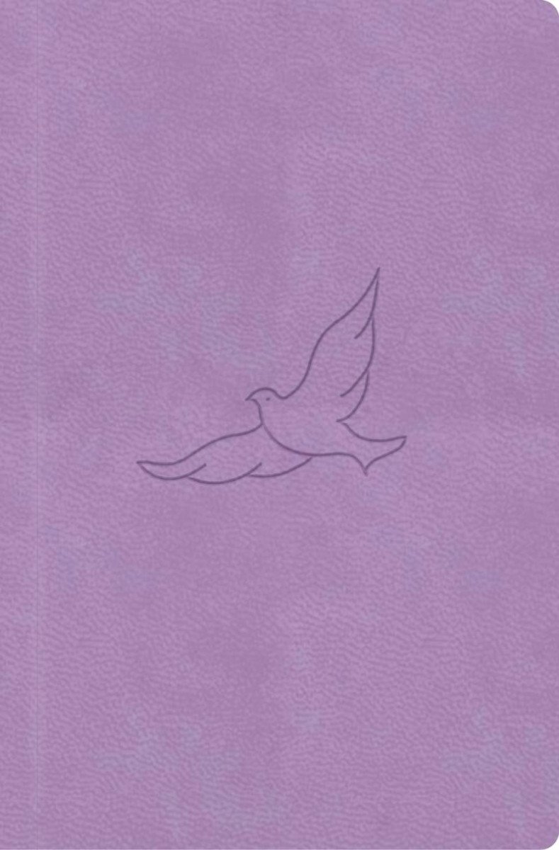 BIBLE 21 LILA