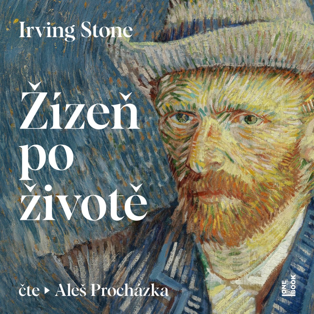 Obálka knihy ŽÍZEŇ PO ŽIVOTĚ CD (AUDIOKNIHA) od autora Stone Irving