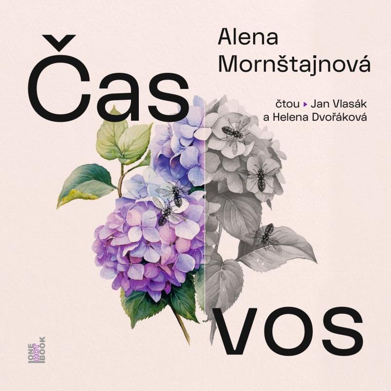 CD ČAS VOS