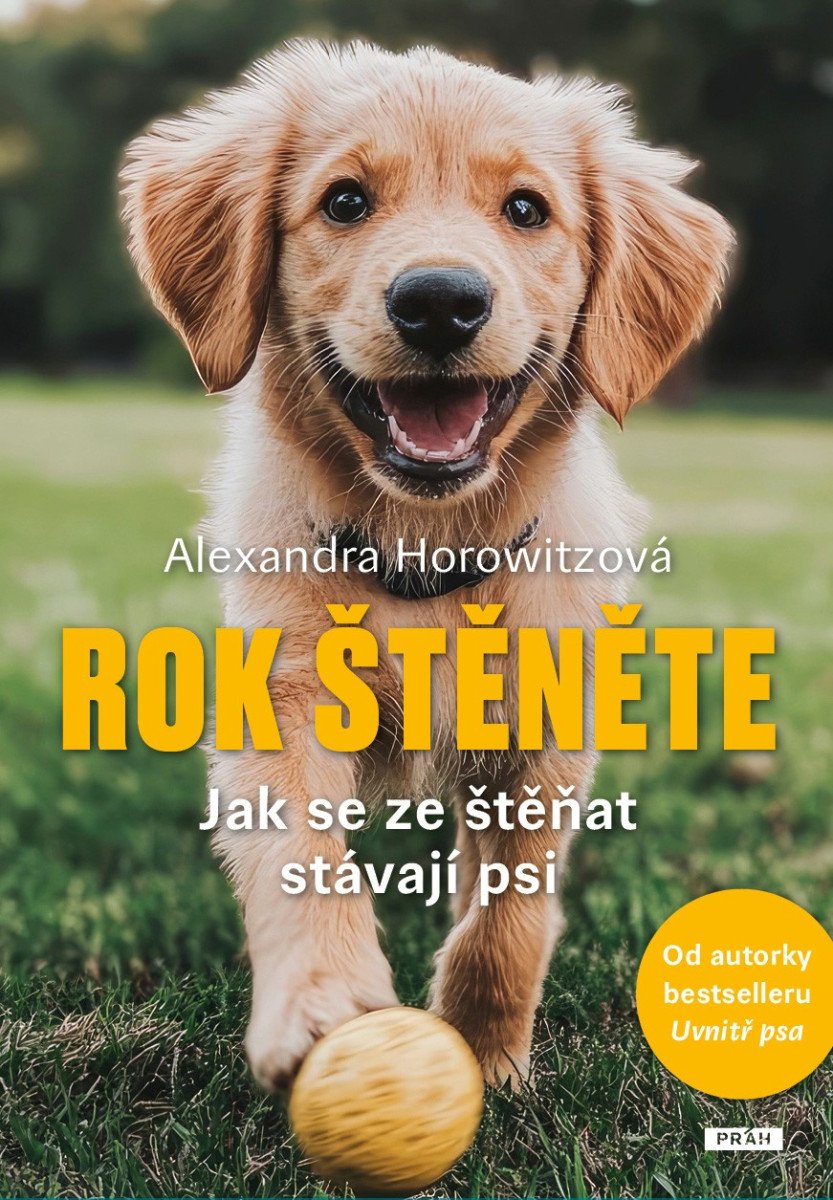 ROK ŠTĚNĚTE JAK SE ZE ŠTĚŇAT STÁVAJÍ PSI