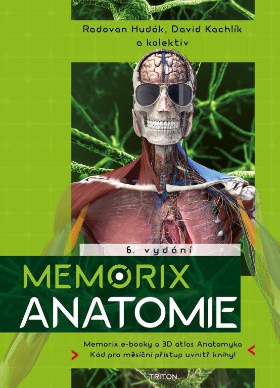 MEMORIX ANATOMIE