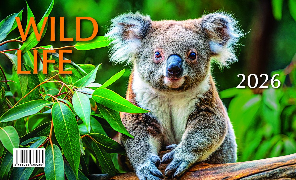 2026 WILD LIFE STOLNÍ