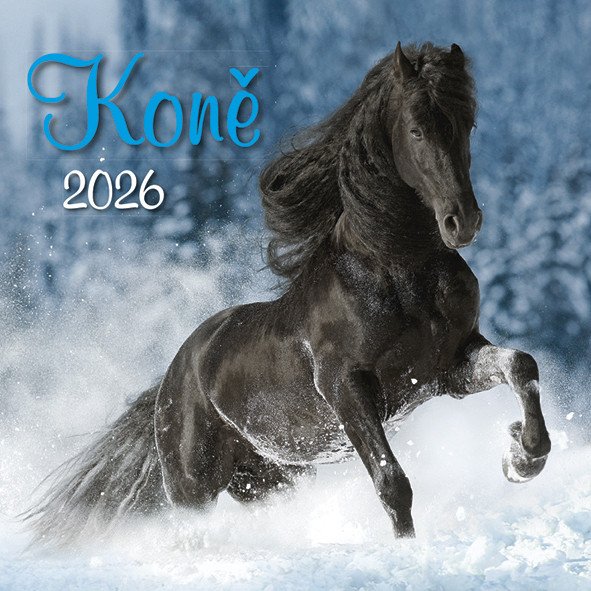 2026 KONĚ NÁSTĚNNÝ