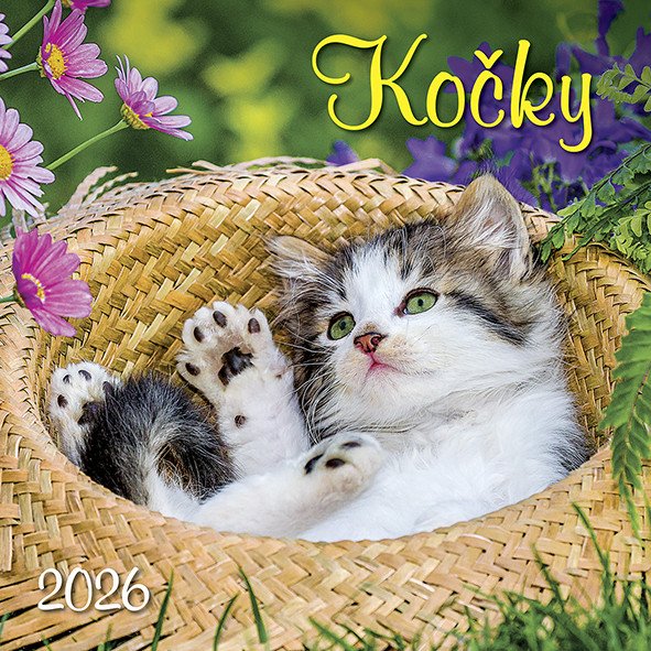 2026 KOČKY NÁSTĚNNÝ