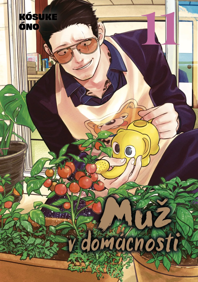 MUŽ V DOMÁCNOSTI 11