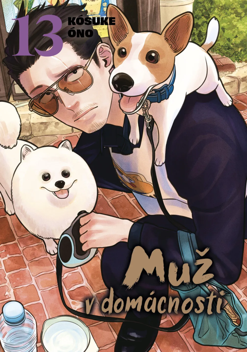 MUŽ V DOMÁCNOSTI 13