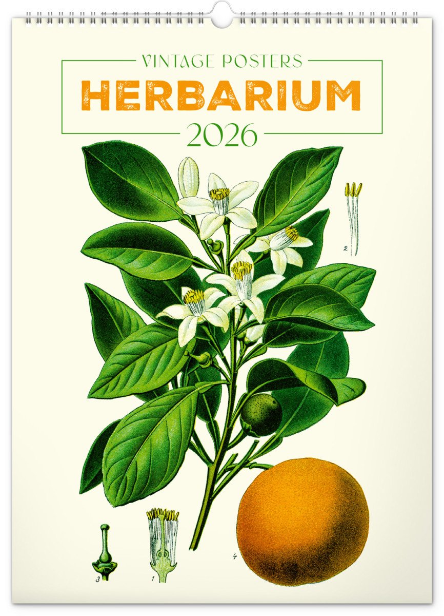 2026 VINTAGE PLAKÁTY HERBARIUM NÁSTĚNNÝ