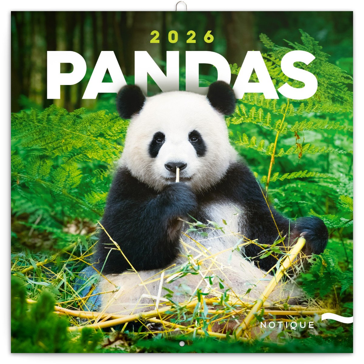 PANDY 2026 KALENDÁŘ NÁSTĚNNÝ