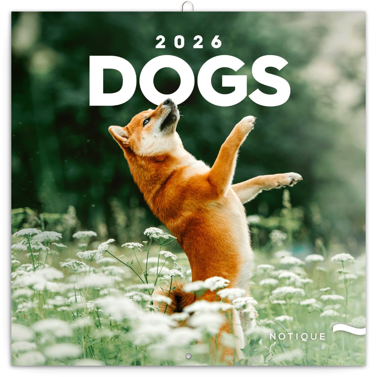 PSI 2026 KALENDÁŘ NÁSTĚNNÝ
