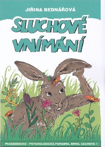 SLUCHOVÉ VNÍMÁNÍ