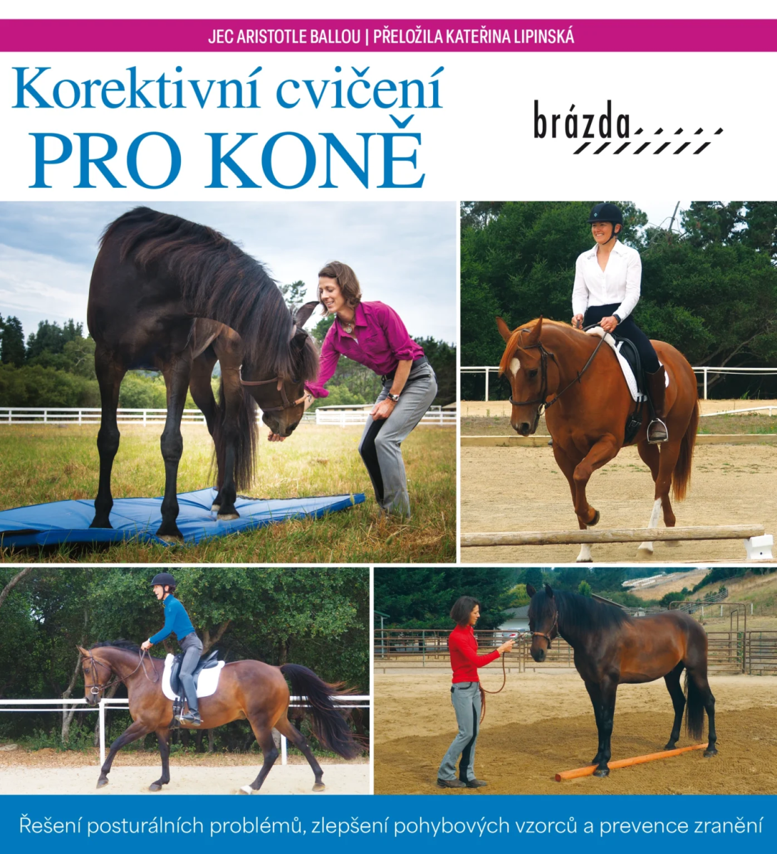 KOREKTIVNÍ CVIČENÍ PRO KONĚ