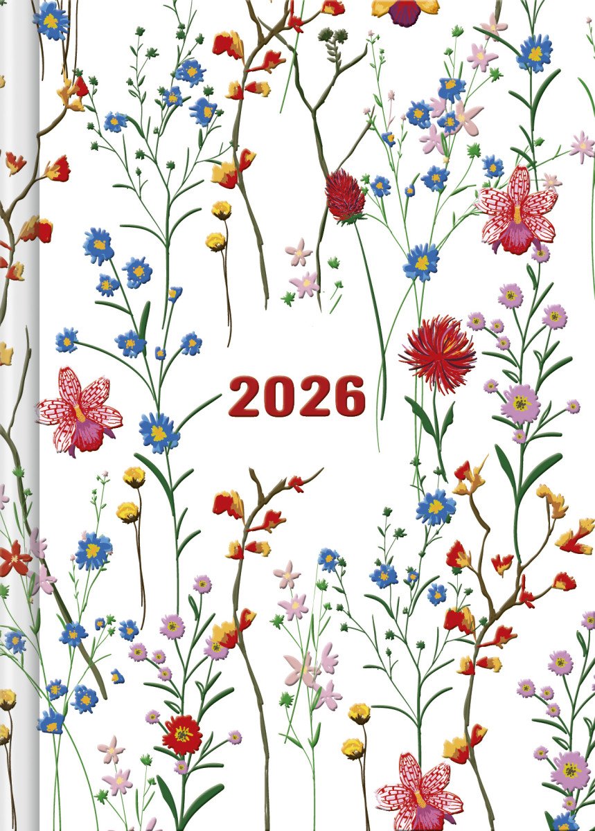 DIÁŘ 2026 LOUKA