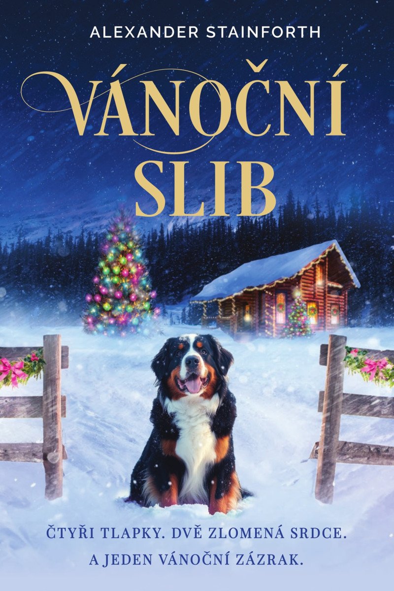 VÁNOČNÍ SLIB