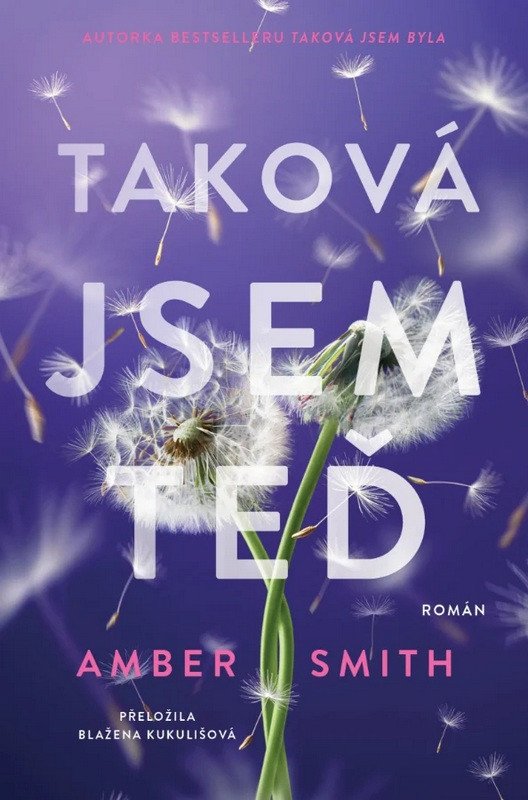 Obálka knihy TAKOVÁ JSEM TEĎ (EDEN A JOSH 2) od autora Smith Amber