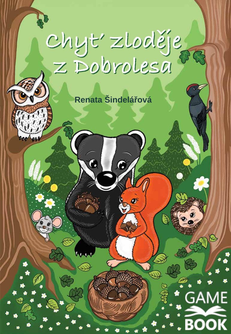 CHYŤ ZLODĚJE Z DOBROLESA [GAMEBOOK]