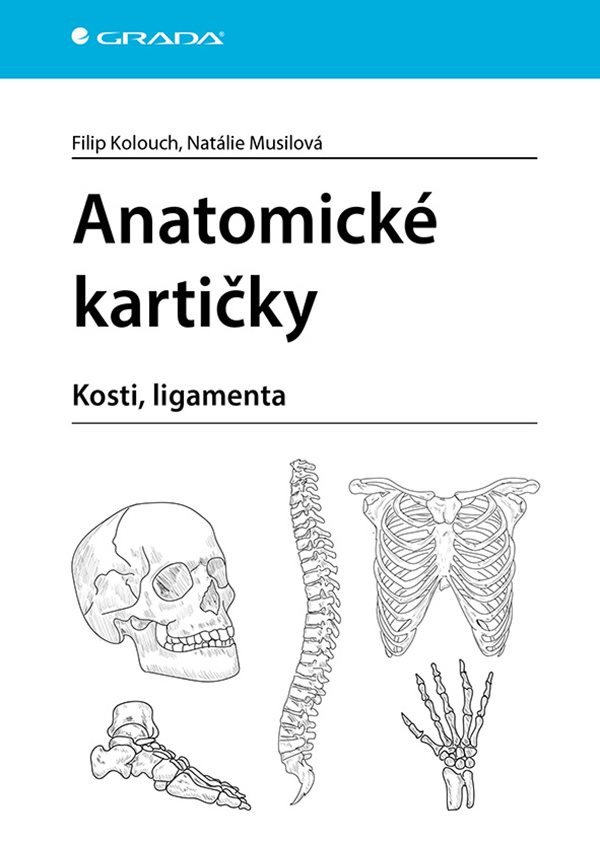 ANATOMICKÉ KARTIČKY KOSTI, LIGAMENTA