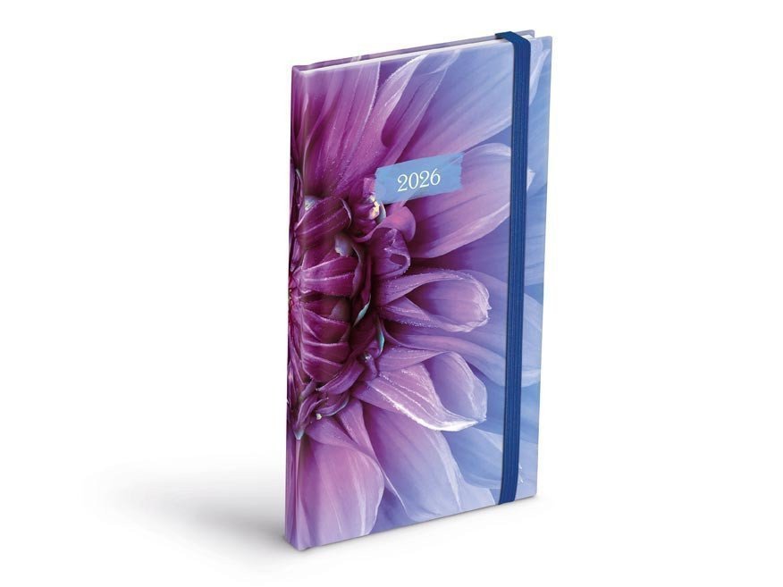 DIÁŘ 2026 TÝDENNÍ T806 LAMINO 1 S GUMKOU 90X170MM