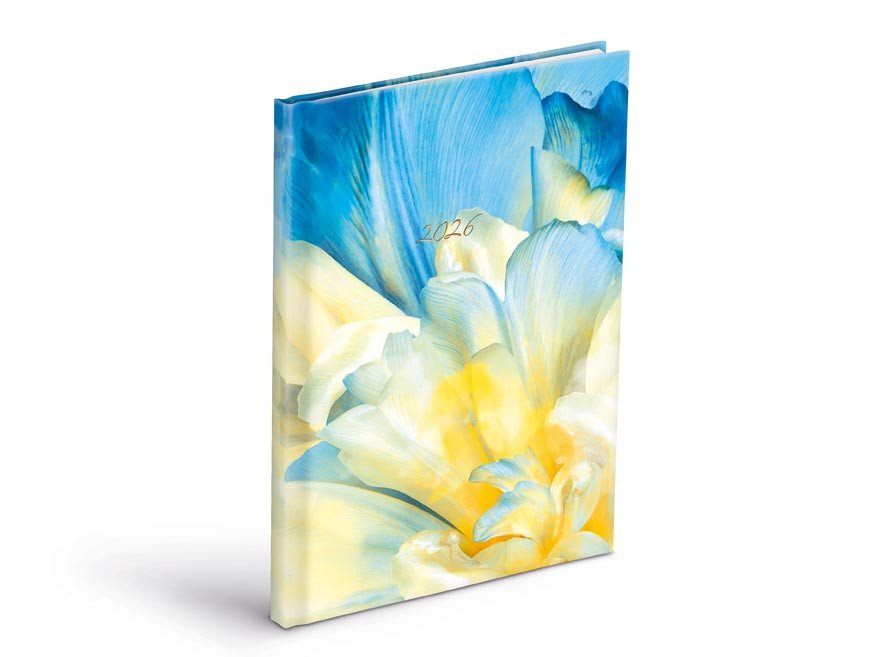 DIÁŘ 2026 TÝDENNÍ T805 LAMINO 3