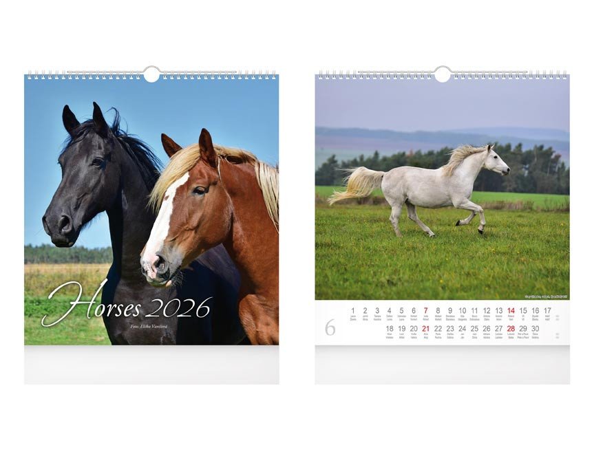 2026 KONĚ NÁSTĚNNÝ