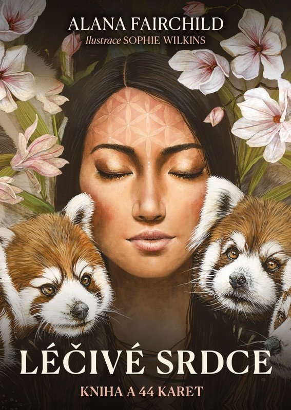 Obálka knihy LÉČIVÉ SRDCE - KNIHA A 44 KARET od autora Fairchild Alana