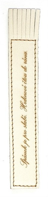 Obálka knihy KOŽENÁ ZÁLOŽKA SE STŘAPCI SPÁNEK JE PRO SLABÉ. HRDINOVÉ ČTOU od autora <br>