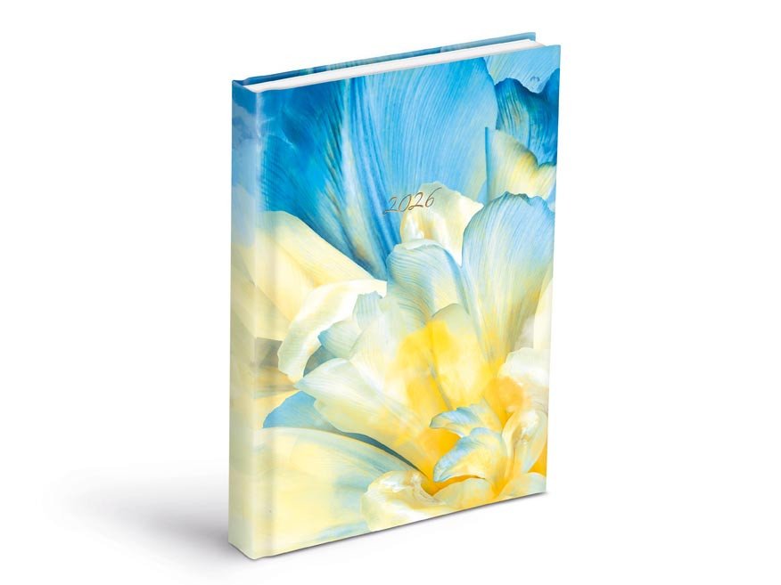 DIÁŘ 2026 DENNÍ D801 LAMINO 3