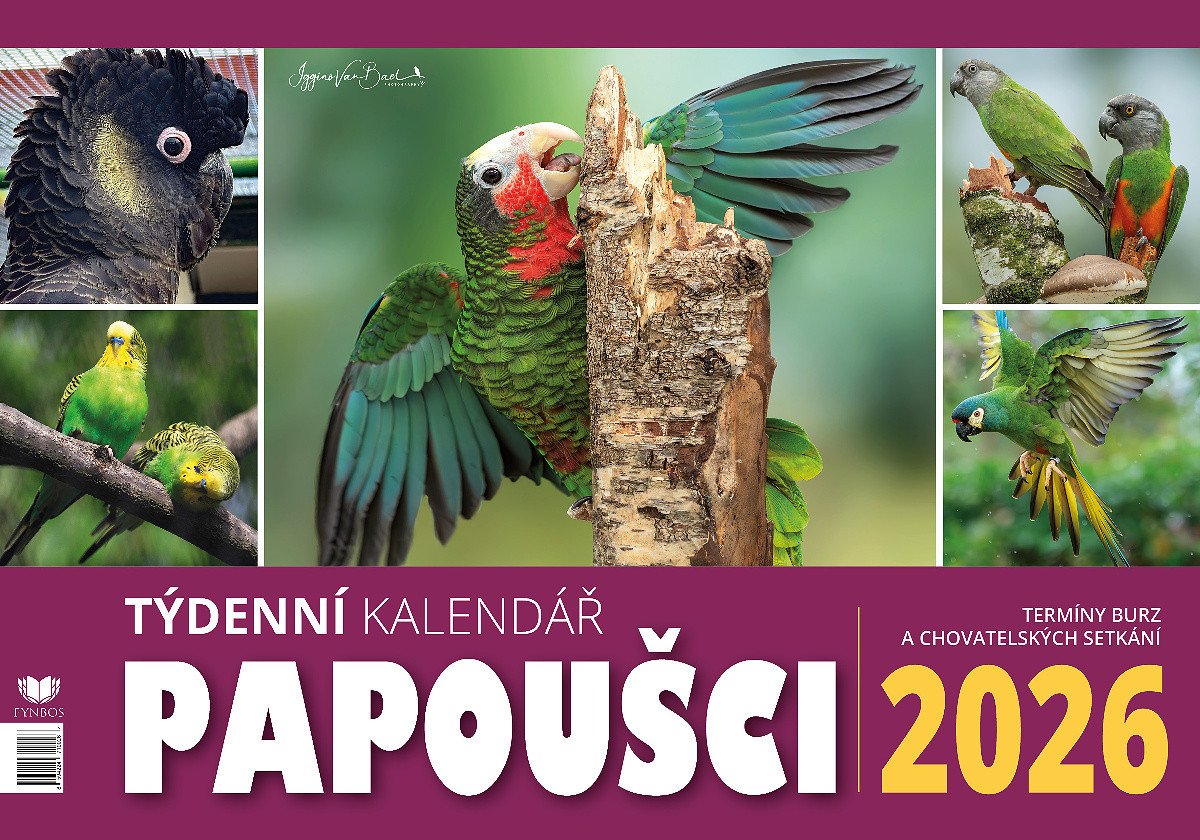 2026 PAPOUŠCI STOLNÍ